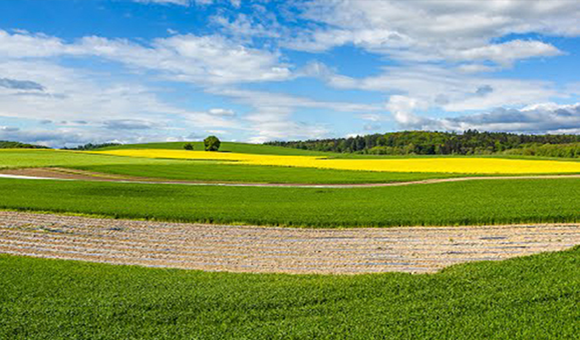 AVGD Développement durable